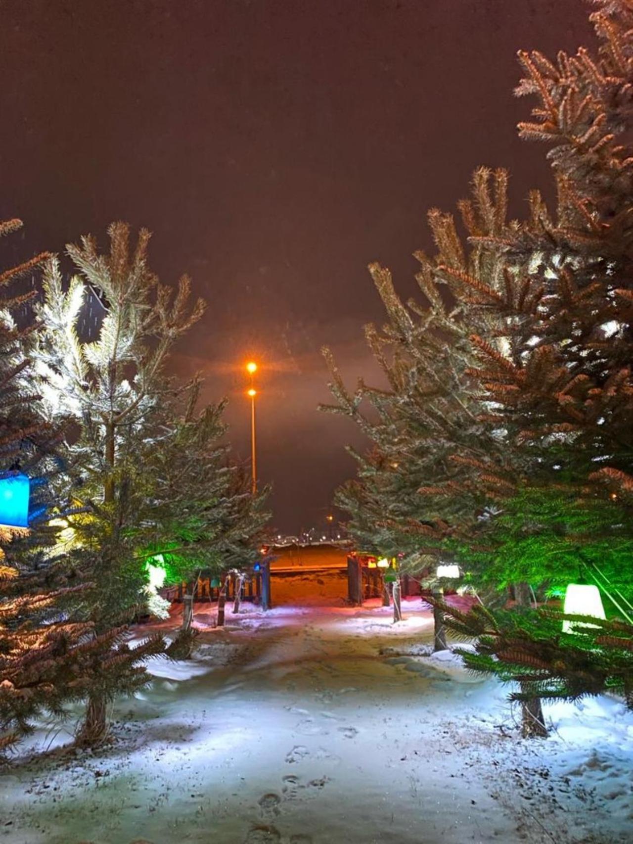 Snow Life Hotel Sarıkamış Extérieur photo